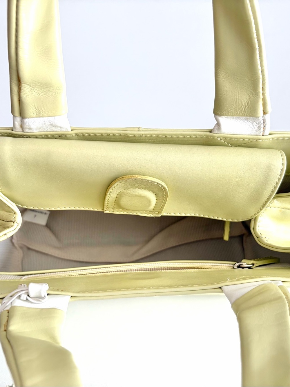 Radley London - Pistachio Leather Mini Grab Bag Purse - Floral Appliqué - Picture 6 of 8